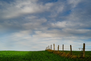 natur und landschaft