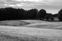 Landschaftsaufnahme zu Hause