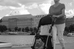 Jungfernstieg / Hamburg